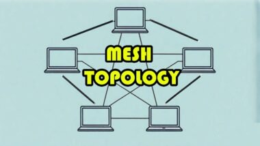 mesh topology
